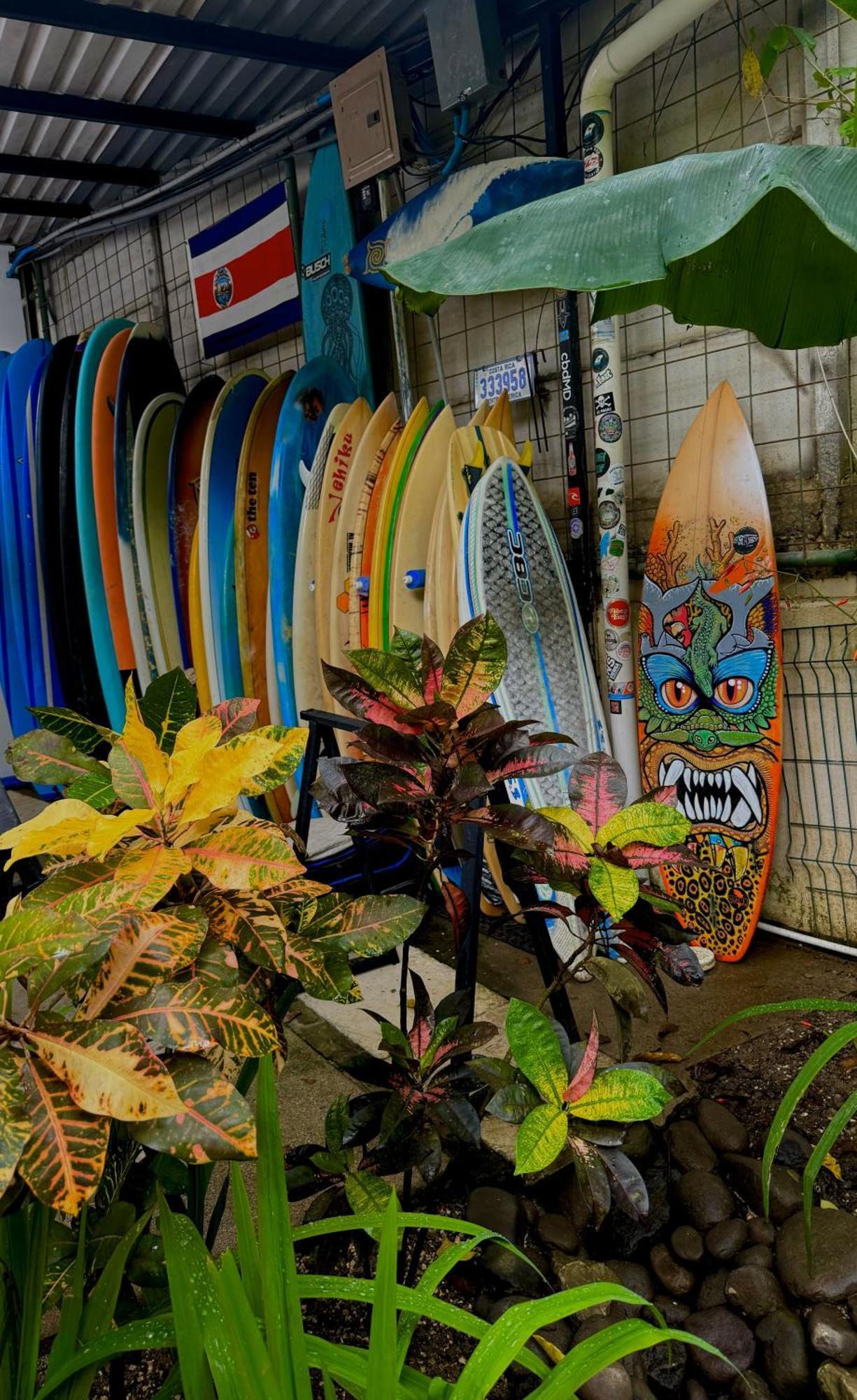 El Chante Surf House Playa Santa Teresa  ภายนอก รูปภาพ